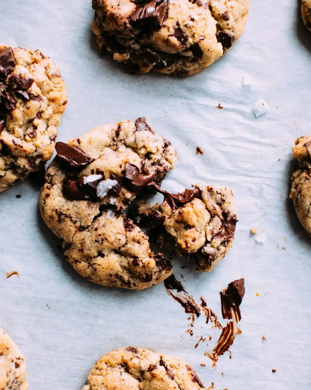 fudgy double chocolate chip cookies