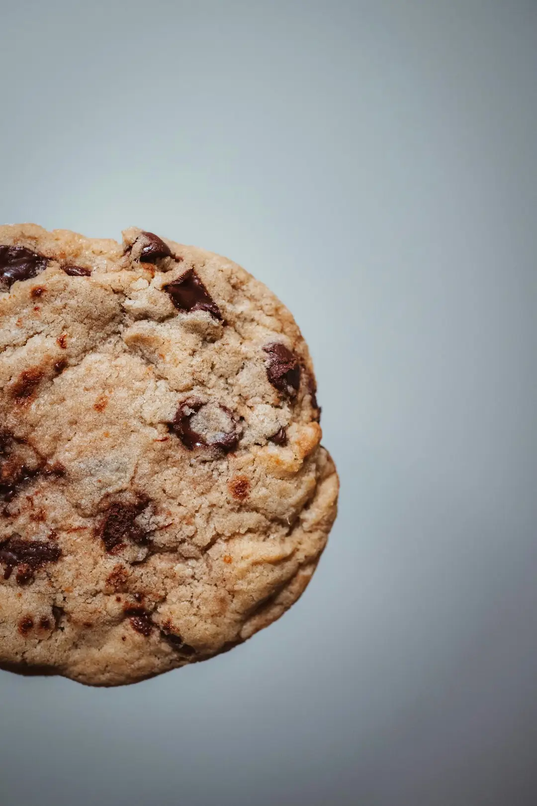 fudgy double chocolate chip cookies