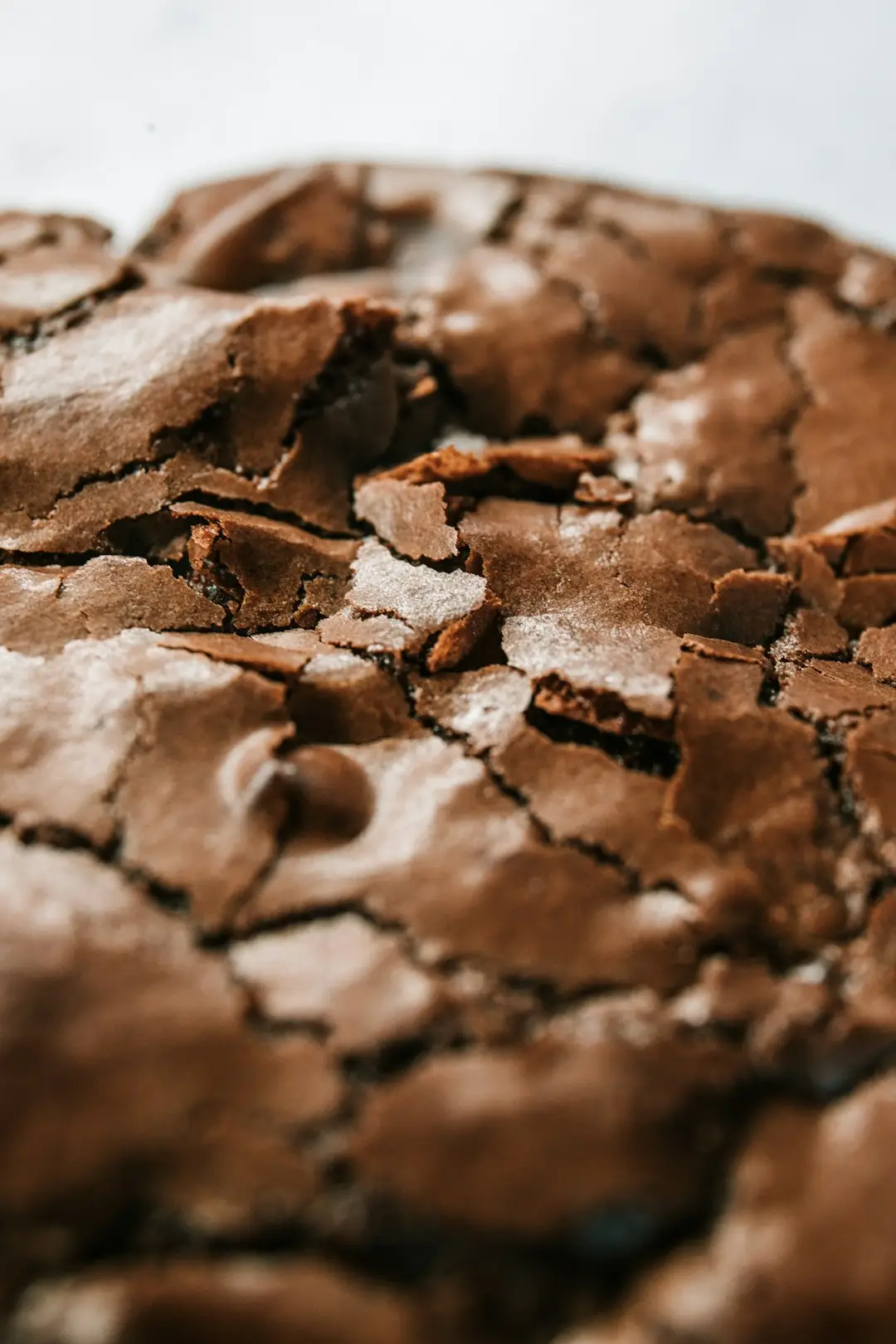 single serve fudgy brownie -- The Joy of Sharing single serve fudgy brownie