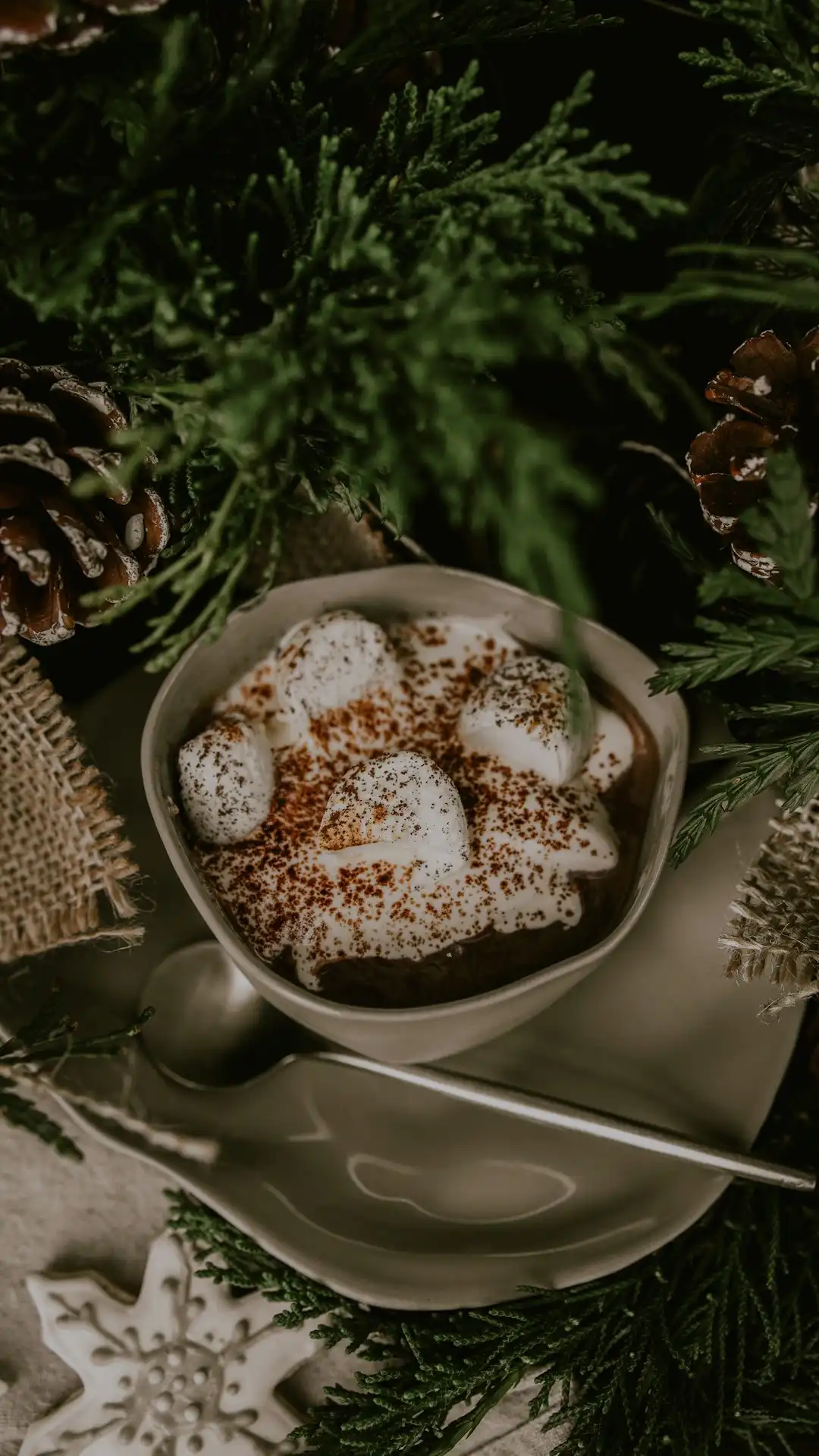 hot chocolate tiramisu -- Assembling the Layers for Perfect Texture hot chocolate tiramisu